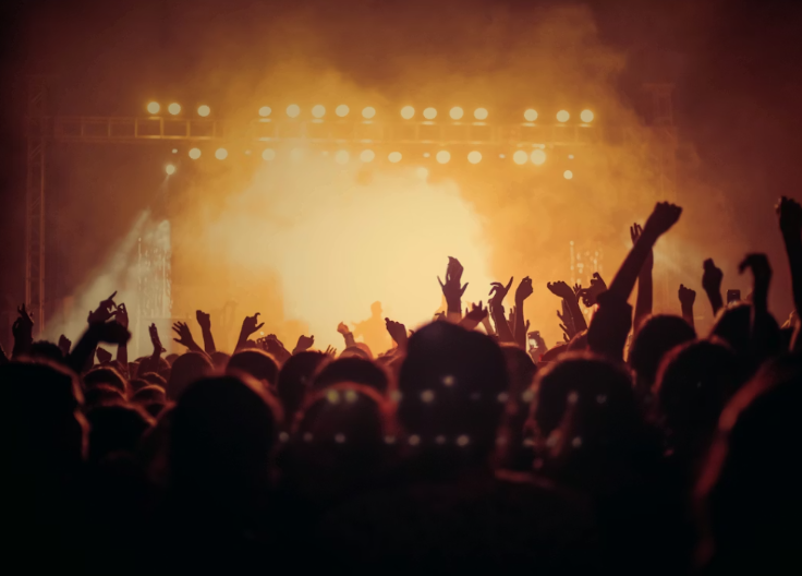 Ovo su novogodišnji honorari estradnih zvijezda: Cifre koje ostavljaju bez daha